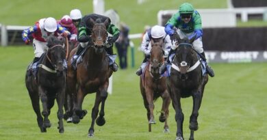 Cheltenham horse Hansard dies as Festival rocked by heartbreaking news | Racing | Sport