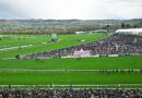 Cheltenham horse Saint Le Fort dies as Festival rocked by second death | Racing | Sport
