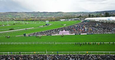 Cheltenham horse Saint Le Fort dies as Festival rocked by second death | Racing | Sport