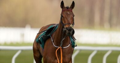 Every Cheltenham Festival horse death as racing mourns on Gold Cup Day | Racing | Sport