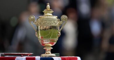 Wimbledon winner’s grandson jailed for for sexually assaulting girls | Tennis | Sport