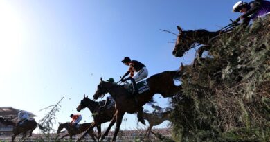 Three Grand National horses pull out as 2026 race contenders emerge | Racing | Sport