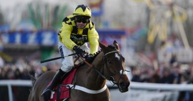 Grand National trainer announces tragic death of star horse | Racing | Sport