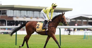 Horse racing jockey slapped with ban after going against vet | Racing | Sport