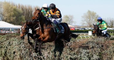 Grand National 2026 Preview: 48-Page Guide with Tips, Runners & Expert | Racing | Sport