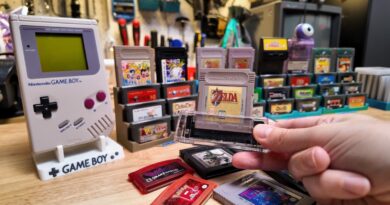 Can my favorite Game Boy gadget tell fake cartridges from real? Can my favorite Game Boy gadget tell fake cartridges from real?