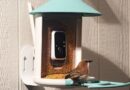 Amazon’s Big Spring Sale is a great time to get a fancy, AI-powered bird feeder Amazon’s Big Spring Sale is a great time to get a fancy, AI-powered bird feeder