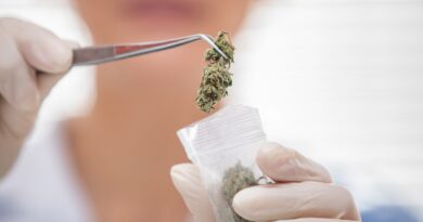 Medicinal cannabis shows little evidence in improving mental health disorders