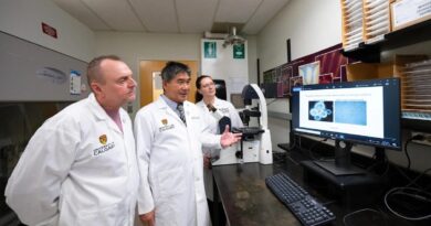 Common vitamin may slow glioblastoma progression in patients, early study finds