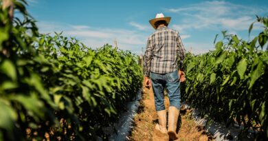 Study links common chemical to elevated Parkinson’s disease risk