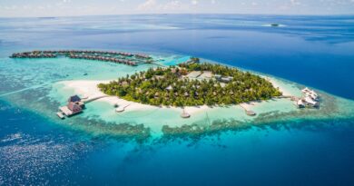 CDC warns spring break travelers about dengue fever in over 15 countries