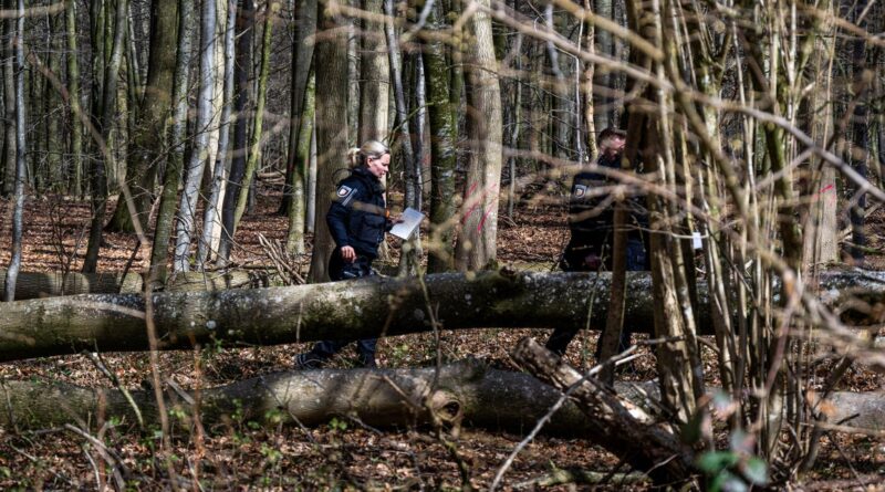 Falling tree kills 3, including 10-month-old, during Easter egg hunt in Germany