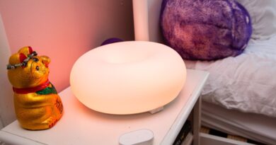 Ikea’s Varmblixt smart lamp review: A sweet treat