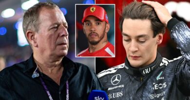 Martin Brundle’s ‘peak Lewis Hamilton’ point in George Russell warning | F1 | Sport