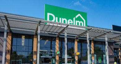 Dunelm’s £29 camping chair dubbed perfect for gardens