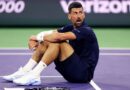 Novak Djokovic sent grave warning as Serb drops down tennis rankings | Tennis | Sport