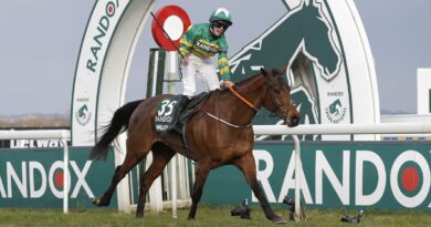 ‘I’ve won the Grand National – this is what punters should look for when picking horses’ | Racing | Sport