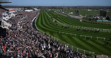 Grand National horse Gold Dancer dies after winning race | Racing | Sport