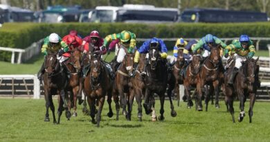 Grand National jockey taken to hospital after fall as two horses being assessed | Racing | Sport