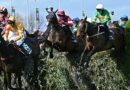 Grand National jockey suspended after Top Of The Bill health scare in wild race | Racing | Sport
