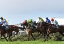 Quai De Bourbon condition update after Grand National fall for horse | Racing | Sport