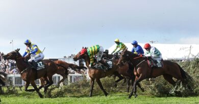 Quai De Bourbon condition update after Grand National fall for horse | Racing | Sport