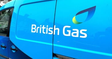 British Gas, EDF, EON and Octopus Energy customers handed £1,700 | Personal Finance | Finance British Gas, EDF, EON and Octopus Energy customers handed £1,700 | Personal Finance | Finance