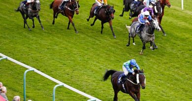 Major horse racing meeting with 123 entered to run cancelled with immediate effect | Racing | Sport