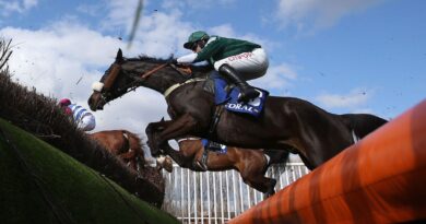 Scottish Grand National 2026 horse numbers and jockey colours | Racing | Sport