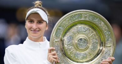 Wimbledon champion releases ‘doping incident’ statement – ‘I reached a breaking point’ | Tennis | Sport