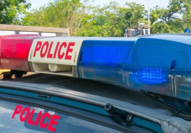 Horror as twin sisters, 11, die after having their throats slit at home | World | News