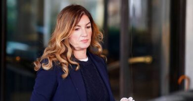 Karren Brady quits West Ham with immediate effect as statement issued | Football | Sport