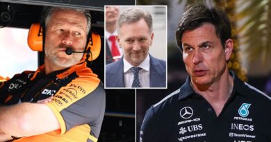 Zak Brown and Toto Wolff disagree over Christian Horner’s F1 return | F1 | Sport