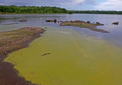 Horror flesh-eating bacteria found lurking in New York waters – victims can die in hours | World | News