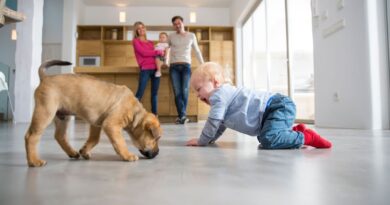 Mum-of-three says raising a puppy is harder than a baby