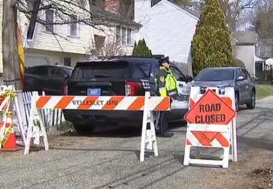 Custody dispute ends in tragedy as mother accused of killing children | World | News