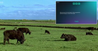 BBC forced to apologise as snooker coverage switches to wildlife show | Other | Sport