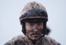 Jockey hospitalised after dramatic fall at Punchestown Festival | Other | Sport