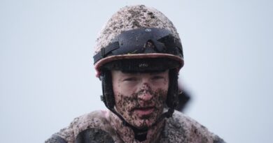 Jockey hospitalised after dramatic fall at Punchestown Festival | Other | Sport