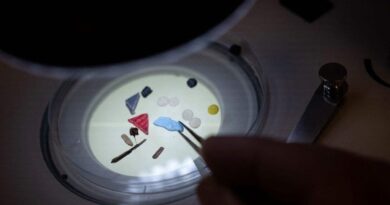 HHS and EPA launch $134M STOMP initiative to remove microplastics