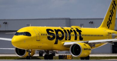 Why is the Trump administration considering bailing out Spirit Airlines?