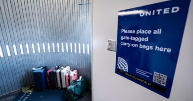 United raises bag fees, becoming second U.S. carrier to up the price this week United raises bag fees, becoming second U.S. carrier to up the price this week