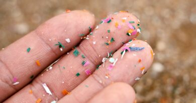 RFK RFK Jr and EPA’s Lee Zeldin ‘declare war’ on microplastics in drinking water