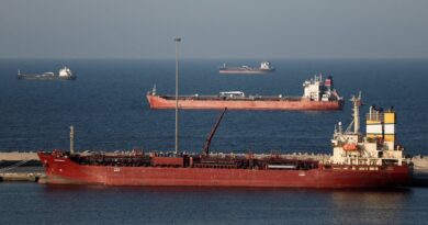 How high could oil and gas prices go if the Strait of Hormuz remains closed?