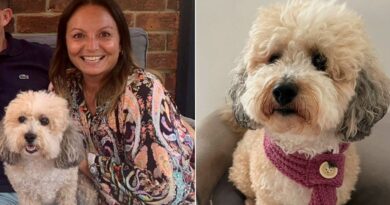 Woman’s dog diagnosed with breast cancer years after her own battle