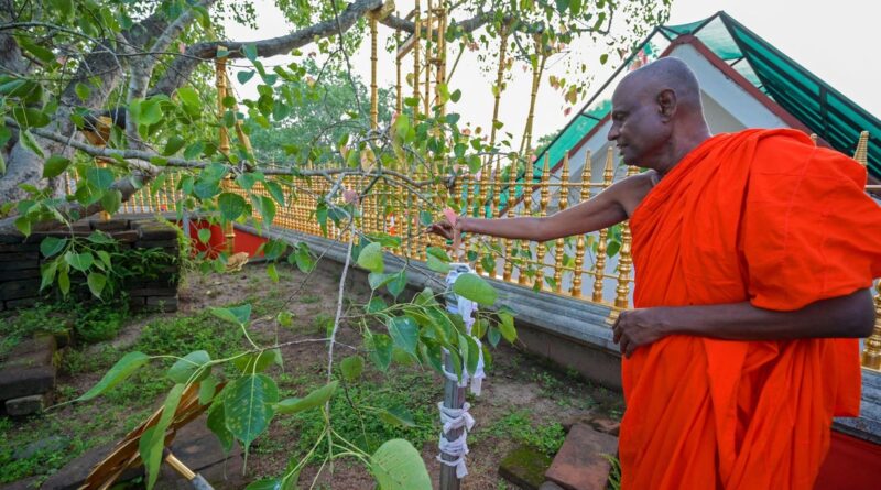 Prominent Buddhist monk arrested over alleged sexual abuse in Sri Lanka