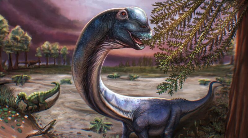 Skeletal remains of new dinosaur weighing as much as 9 elephants discovered by scientists: “The last titan”