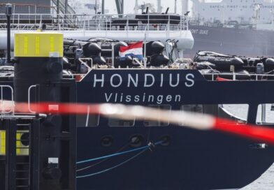 Hantavirus cases linked to cruise ship rise to 12 after crew member tests positive