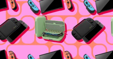 I tested dozens of Nintendo Switch 2 cases and these are the best I tested dozens of Nintendo Switch 2 cases and these are the best