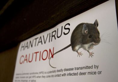 ‘Flu-like’ hantavirus symptoms to look out for after outbreak leaves three dead | World | News